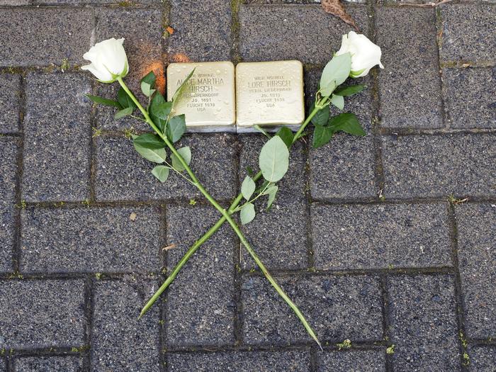 2 Stolpersteine im Bürgersteig eingelassen