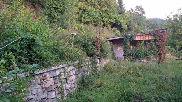 Ungepflegtes Grundstück mit Schuppen