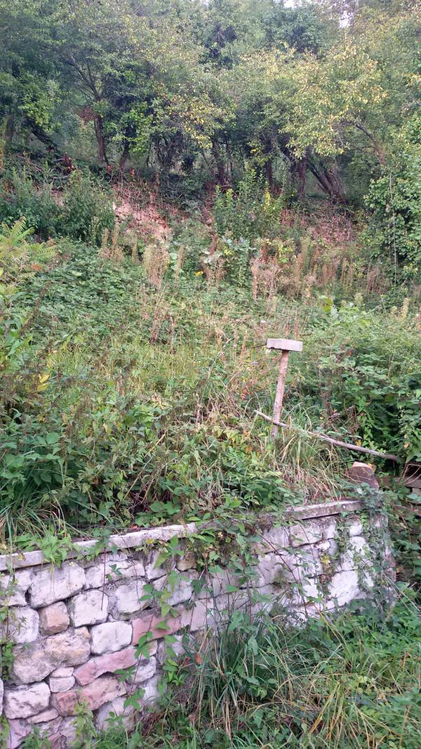 Ungepflegtes Grundstück mit Steinmauer