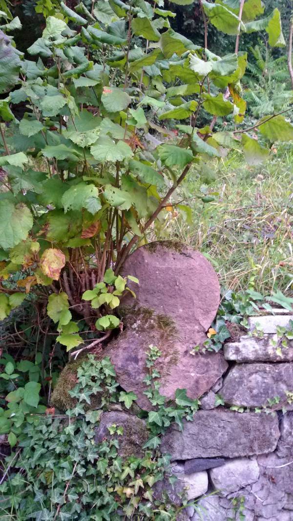 Ungepflegtes Grundstück mit Steinmauer