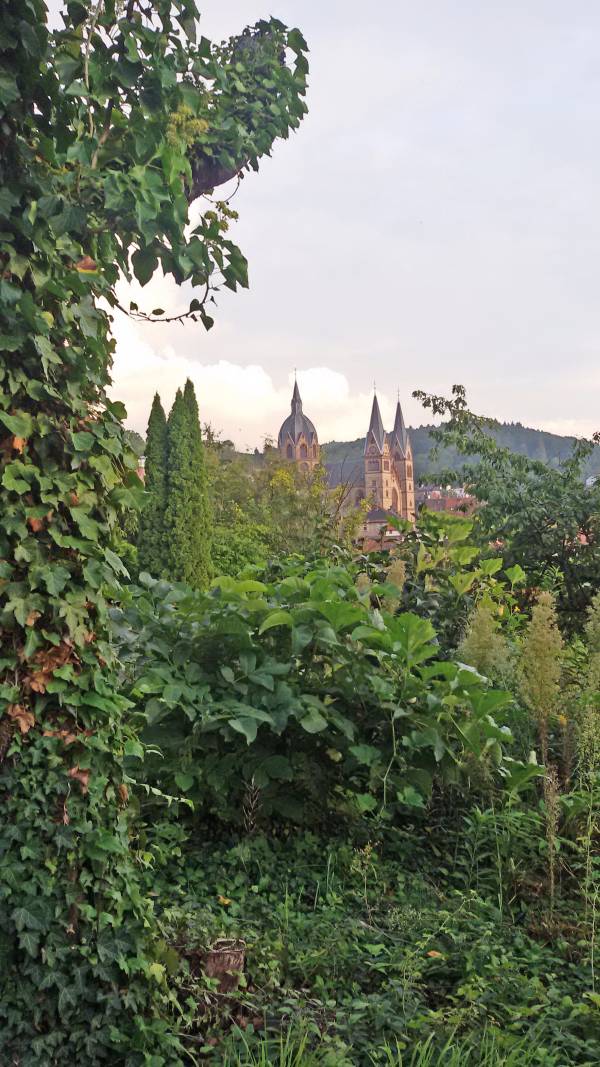 Ungepflegtes Grundstück mit Kirche im Hintergrund