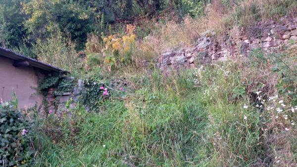 Ungepflegtes Grundstück mit Steinmauer