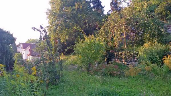 Ungepflegtes Grundstück. Modernere Häuser im Hintergrund