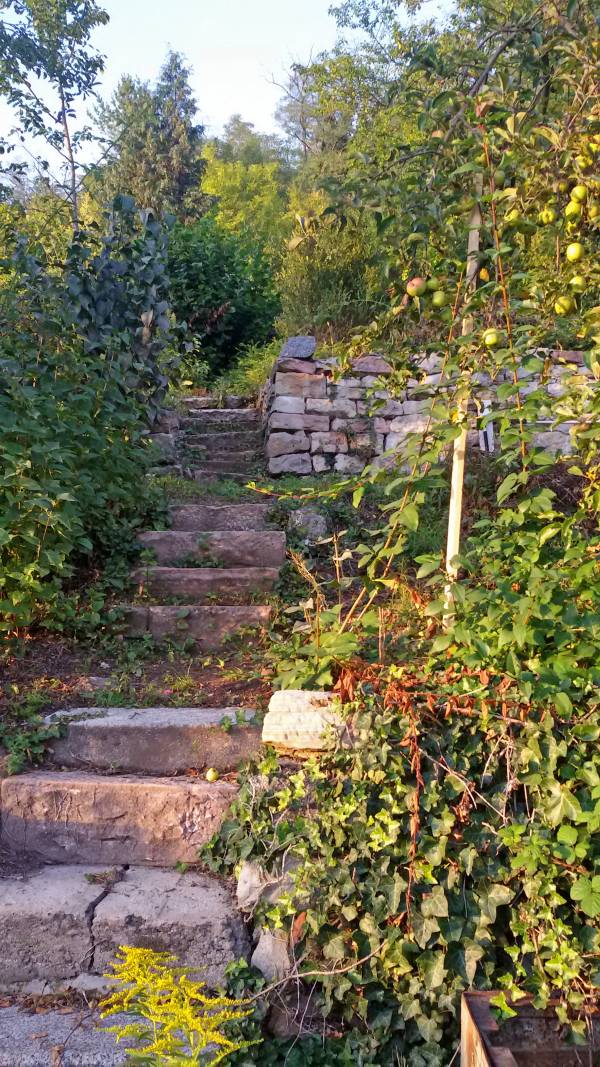 Ungepflegtes Grundstück mit Apfelbaum und langer Steintreppe nach oben