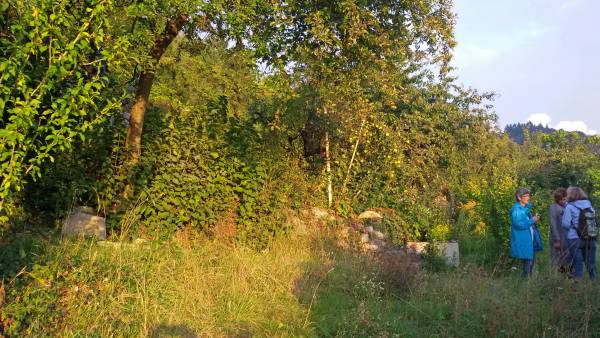 2 Frauen stehen im langen Gras vor Bäumen